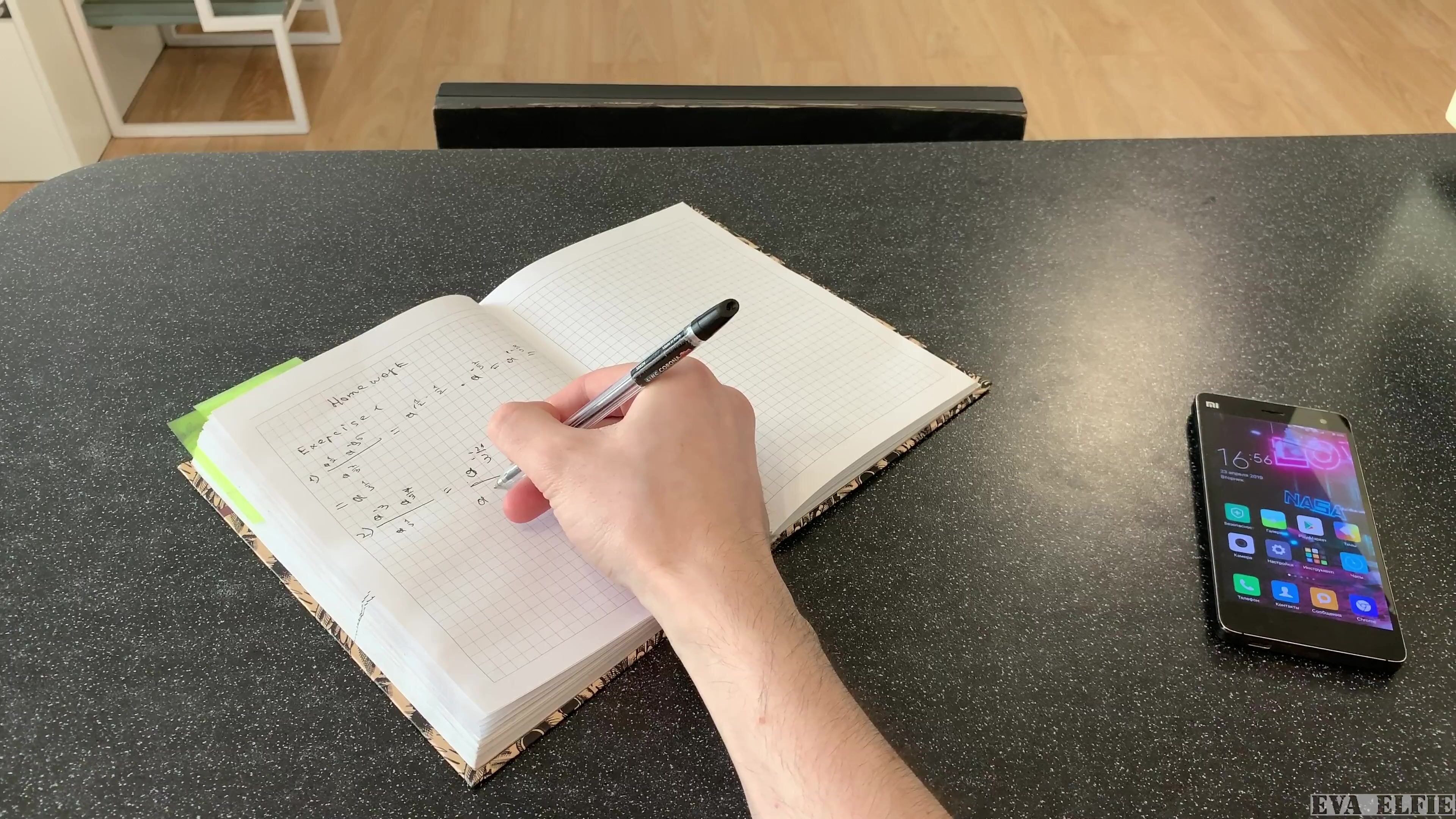Eva Elfie Fucks Her Stepbro For Some Help With Homework