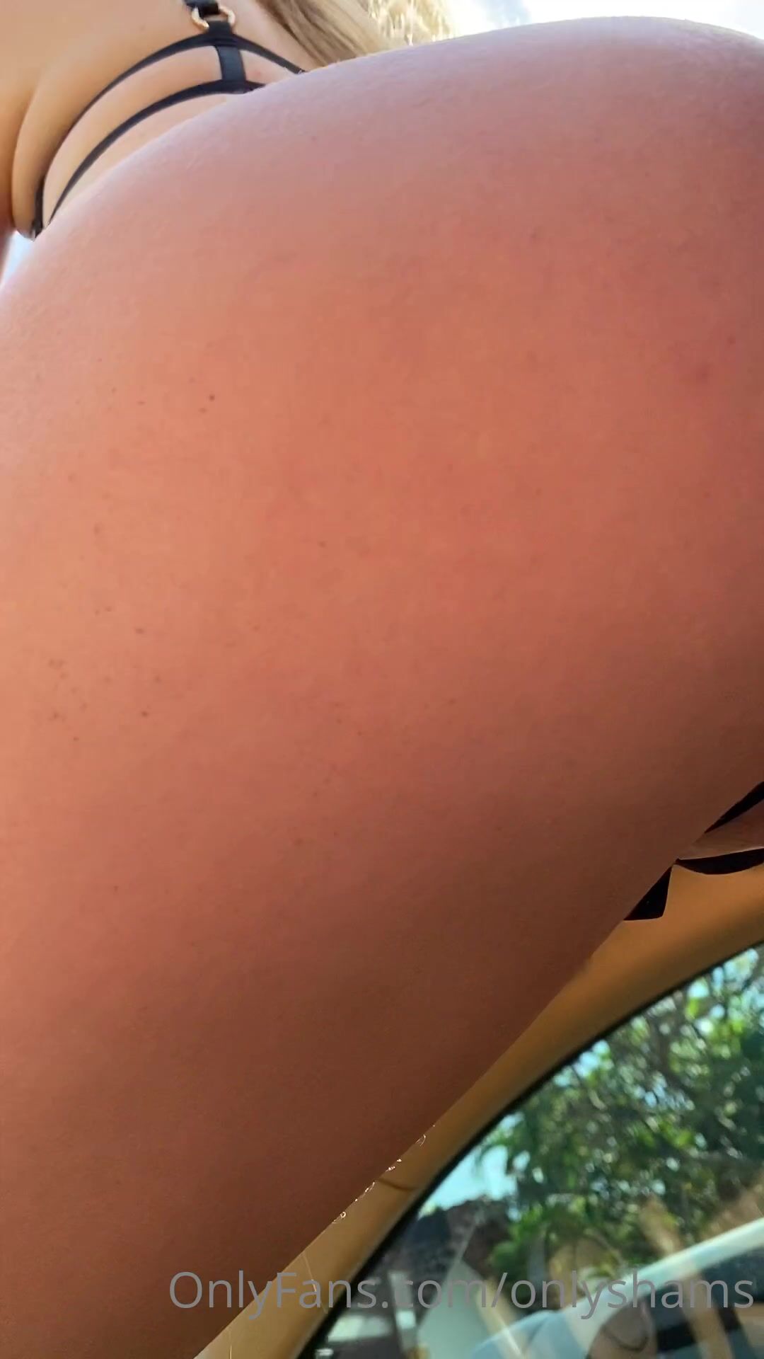 Lily Shams Shows Her Pussy In The Car
