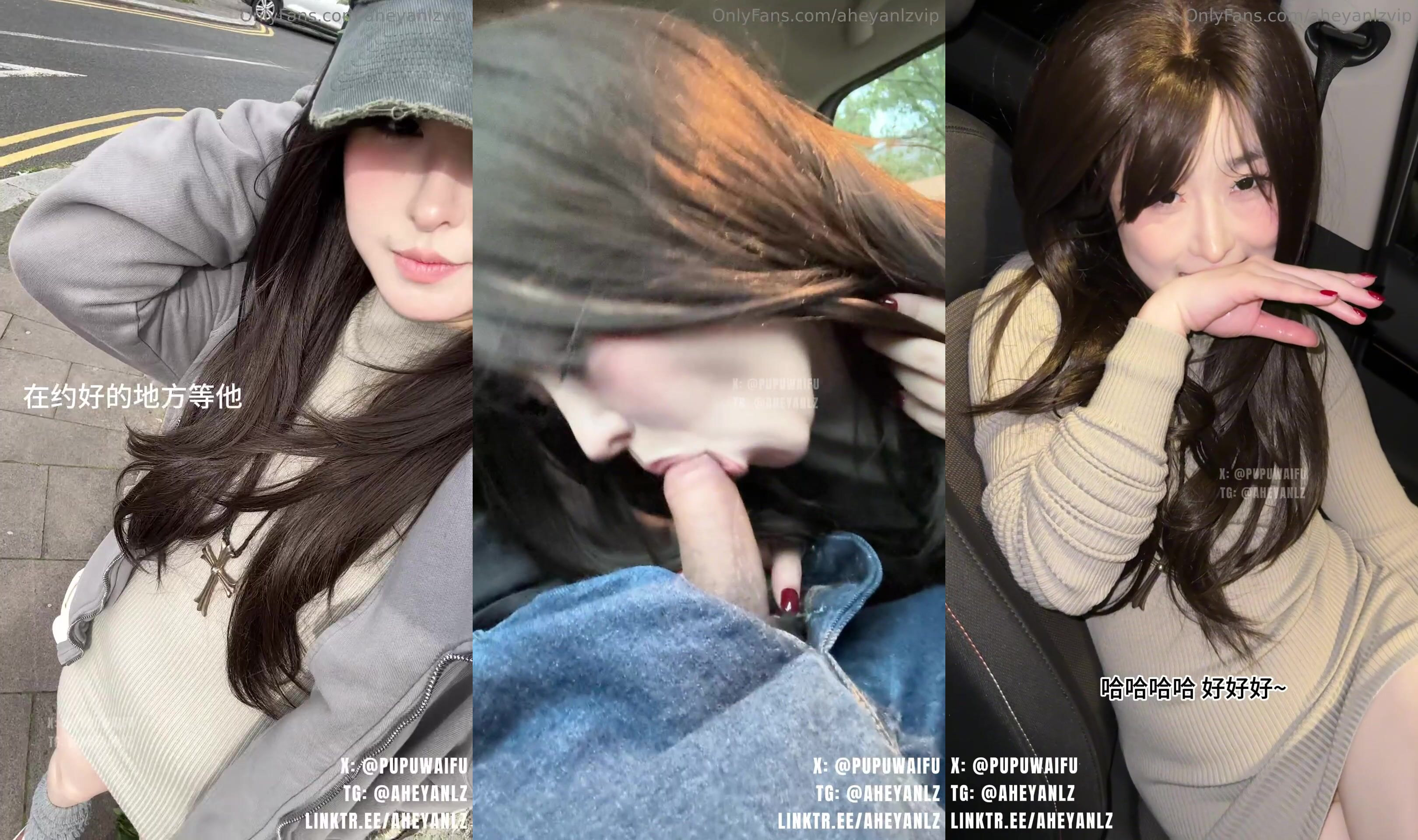 PupuWaifu Gets Plowed In The Car After Dating