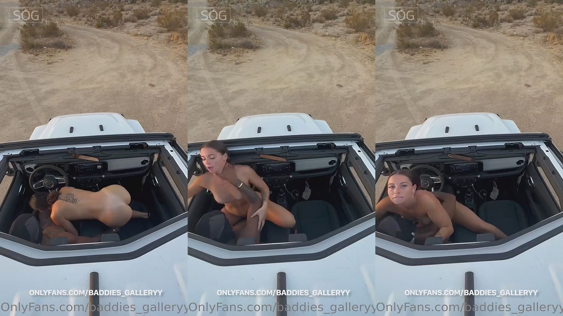 Ashley Aoky Goes For An Outdoor Quickie